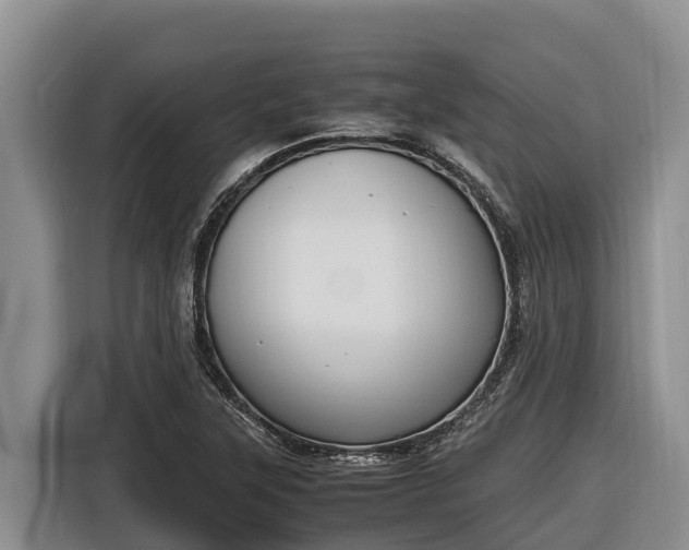 X0000116821315200912241233