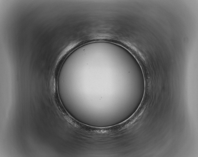 X0000116821317200912241233