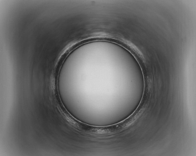 X0000116821318200912241233