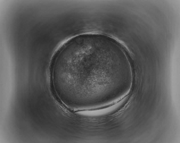 X0000116821319200912241233