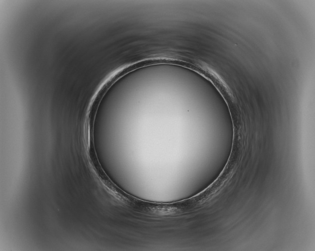 X0000116821323200912241233