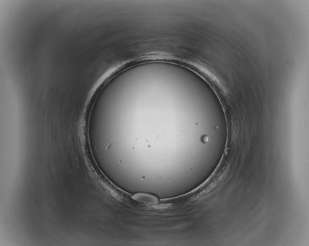 X0000116821325200912241233