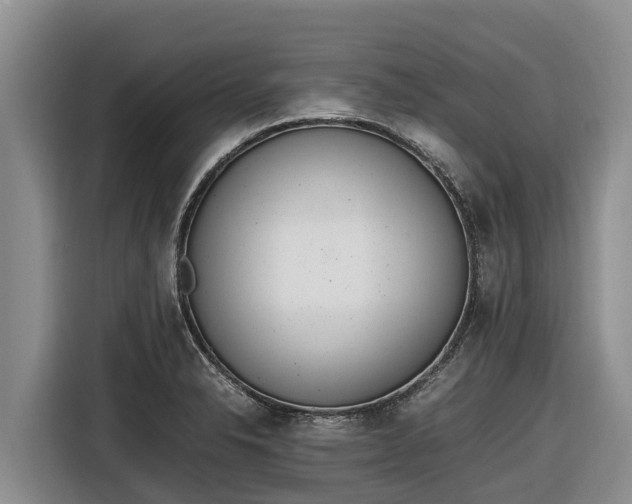 X0000116821326200912241233