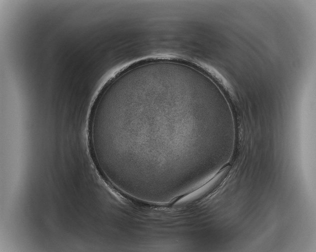 X0000116821327200912241233