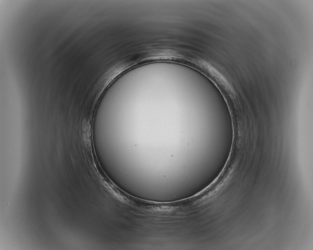 X0000116821329200912241233