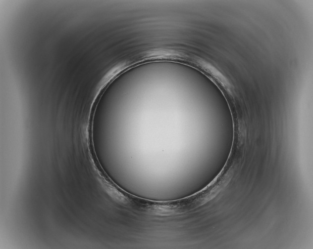 X0000116821330200912241233