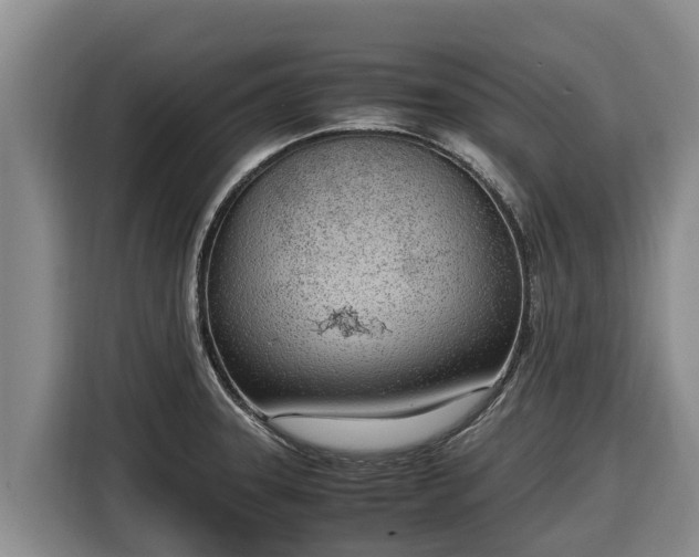 X0000116821331200912241233