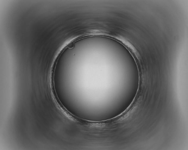 X0000116821333200912241233