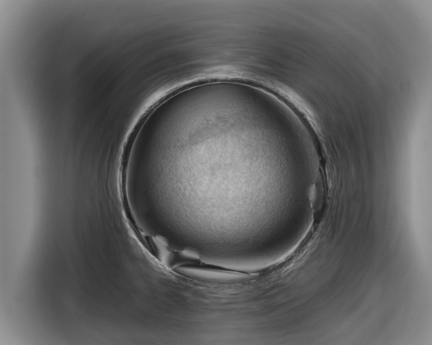 X0000116821334200912241233