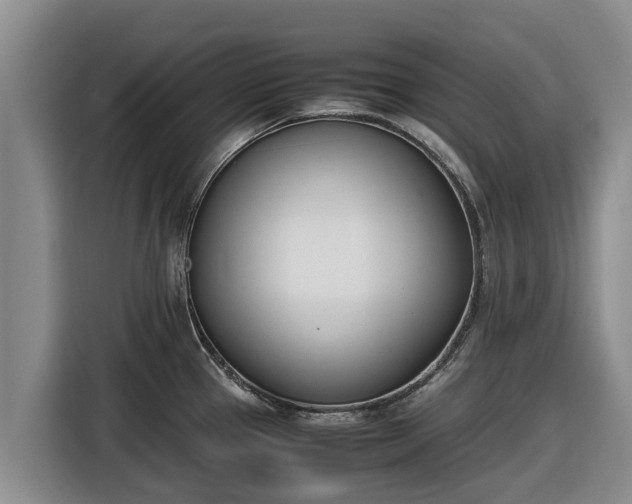 X0000116821337200912241233