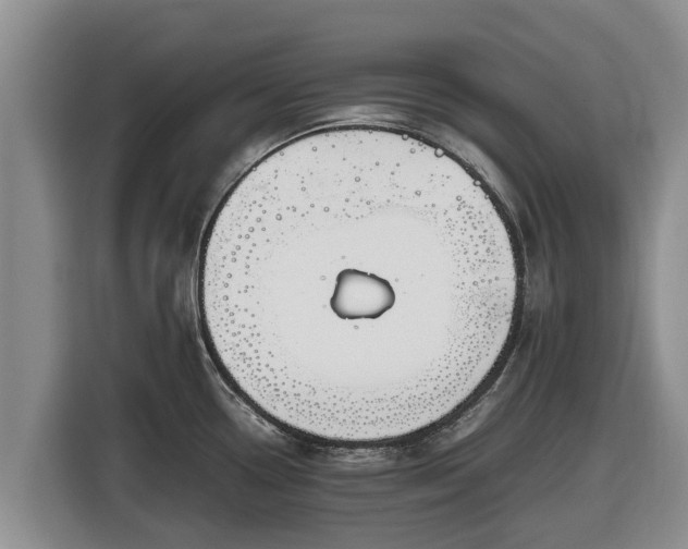 X0000116821338200912241233