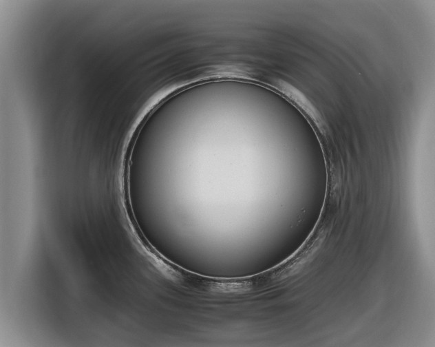 X0000116821339200912241233