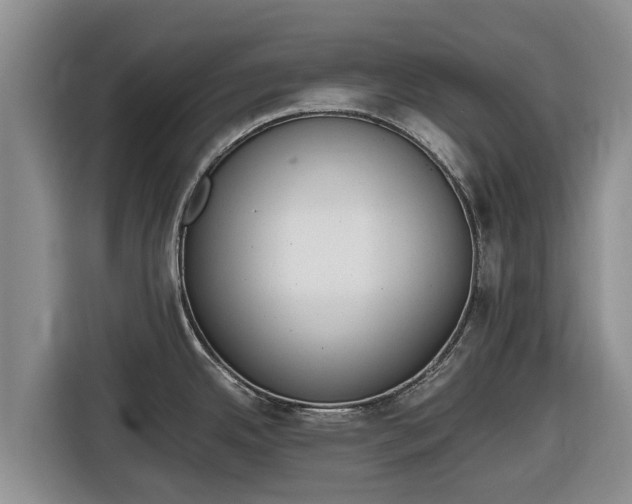 X0000116821342200912241233