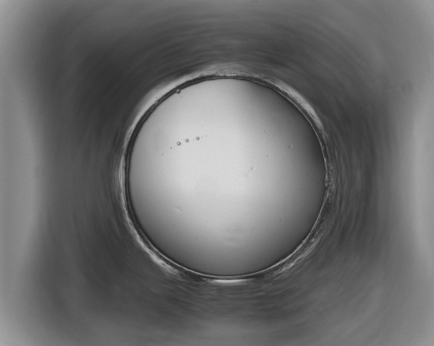 X0000116821343200912241233