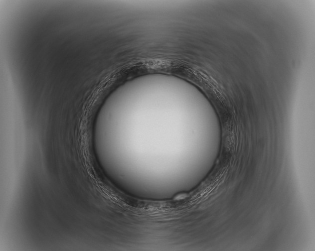 X0000116821345200912241233