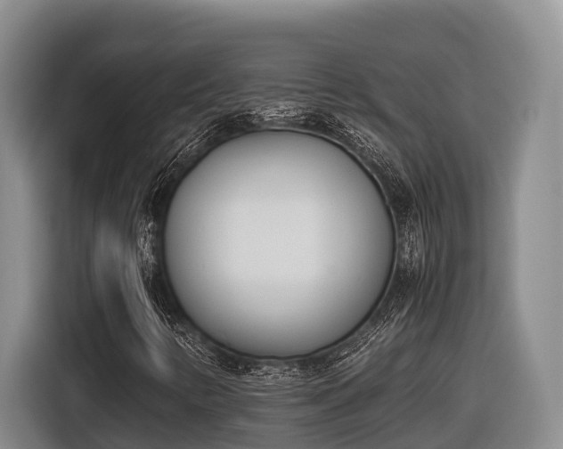 X0000116821346200912241233