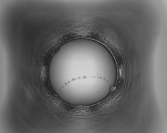 X0000116821347200912241233