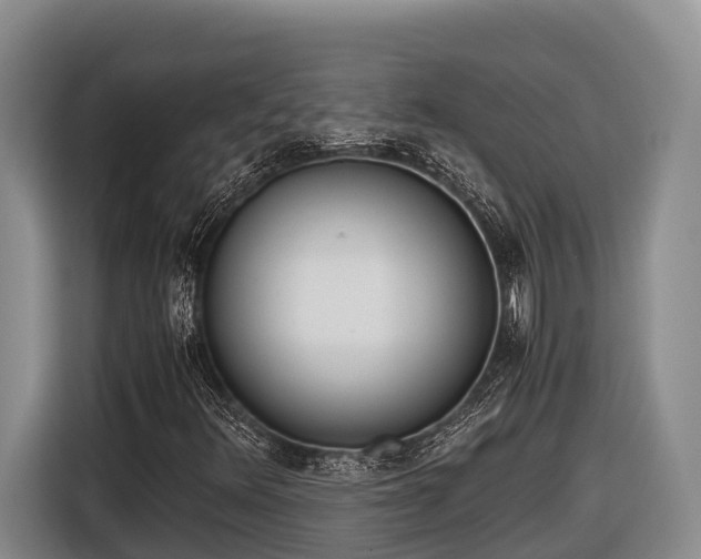 X0000116821348200912241233