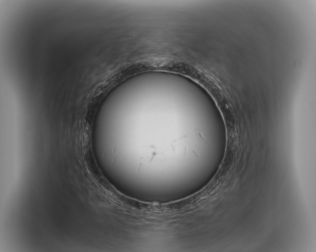 X0000116821349200912241232