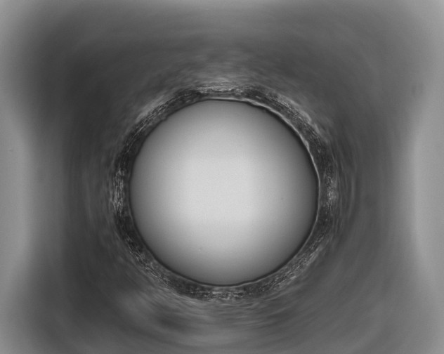 X0000116821350200912241232