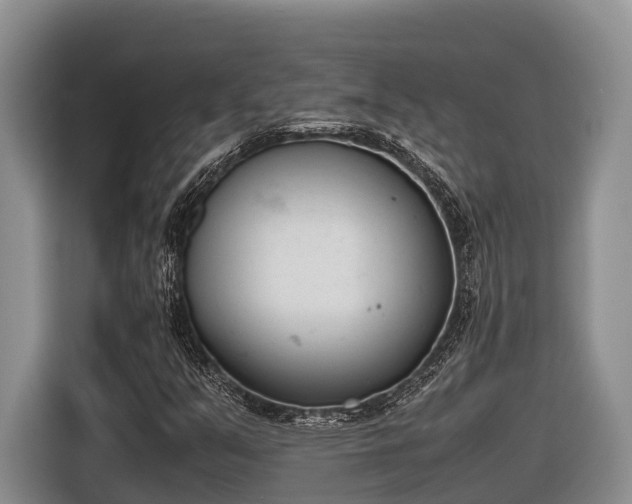 X0000116821351200912241232