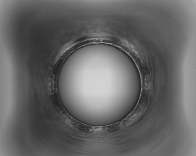 X0000116821352200912241232