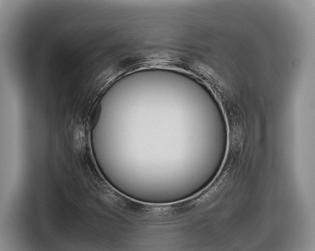 X0000116821353200912241232