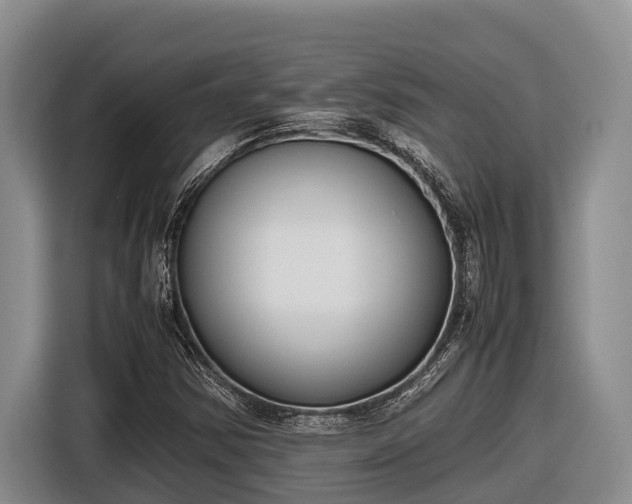 X0000116821354200912241232