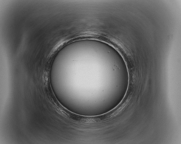 X0000116821355200912241232