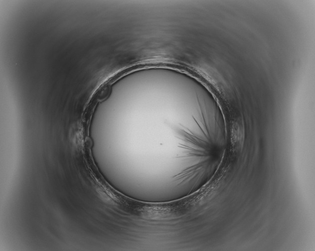 X0000116821356200912241232