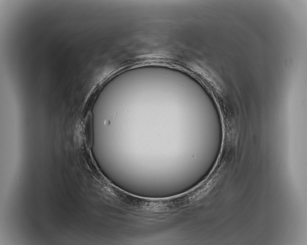 X0000116821357200912241232