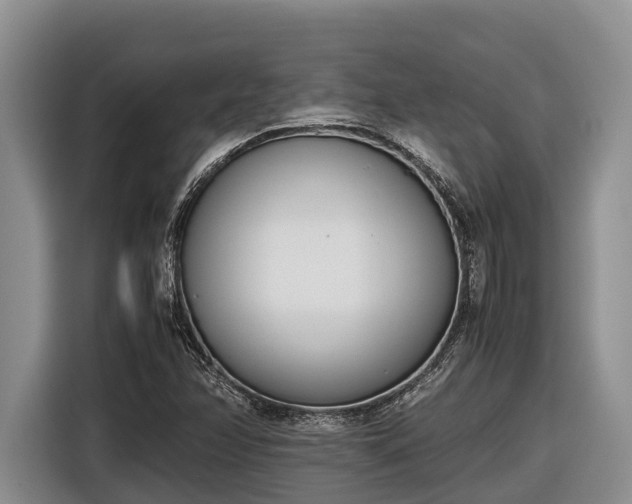 X0000116821358200912241232