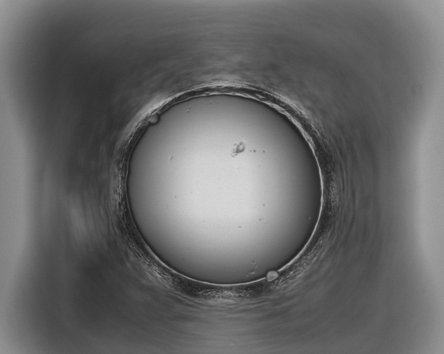 X0000116821359200912241232