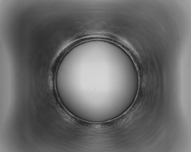 X0000116821360200912241232