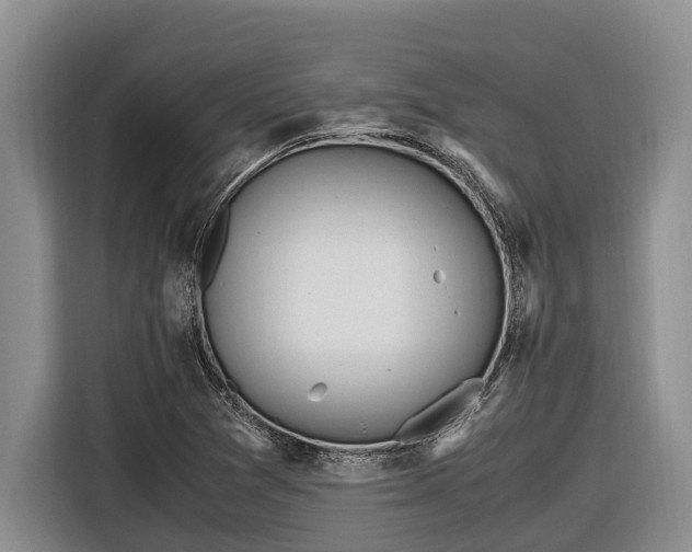 X0000116821361200912241232