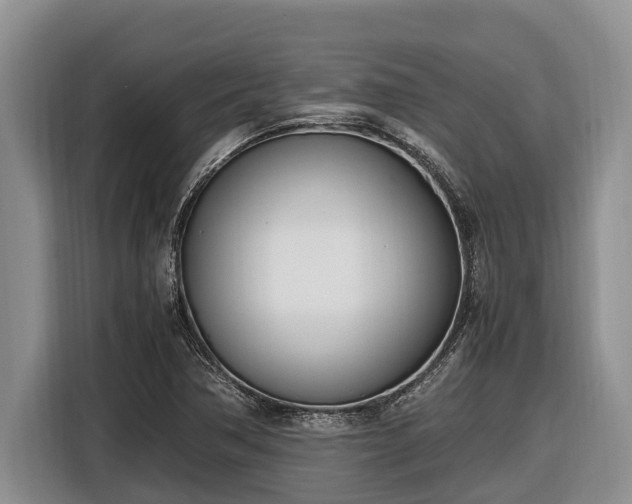 X0000116821362200912241232