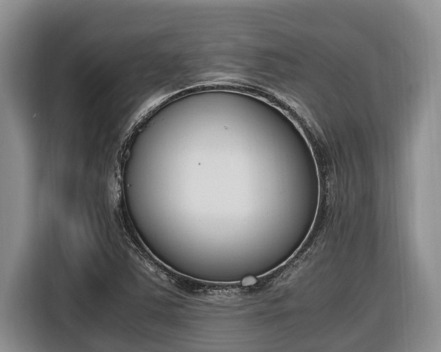 X0000116821363200912241232