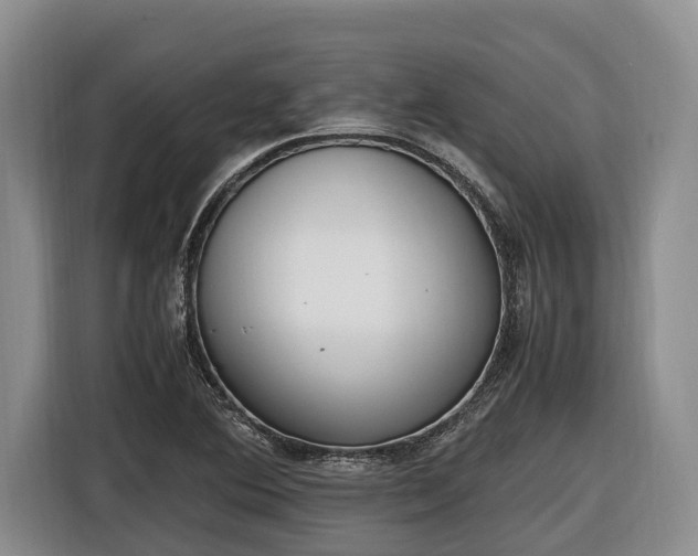 X0000116821364200912241232