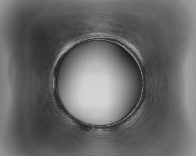 X0000116821365200912241232