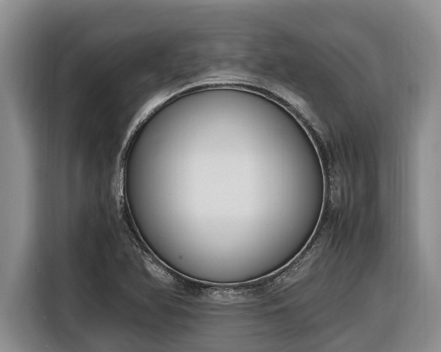 X0000116821366200912241232