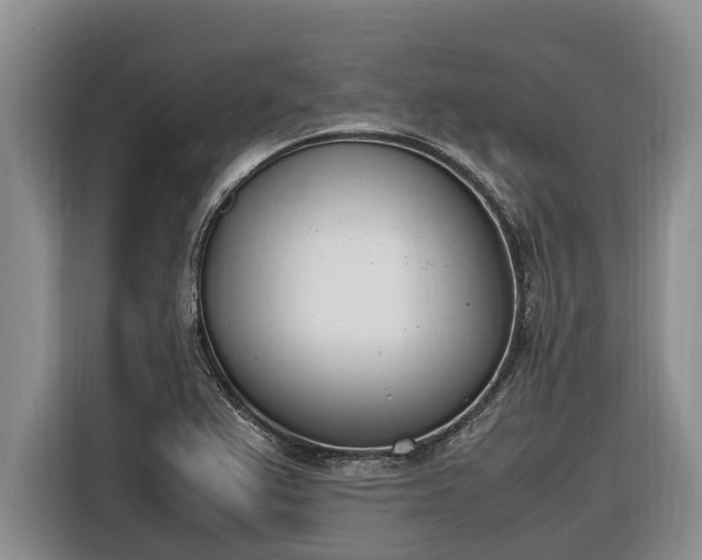 X0000116821367200912241232