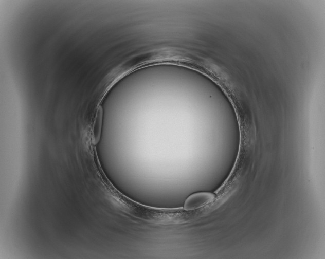 X0000116821369200912241232