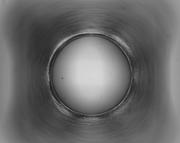 X0000116821372200912241232