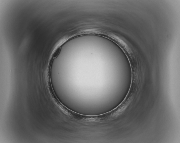 X0000116821373200912241232