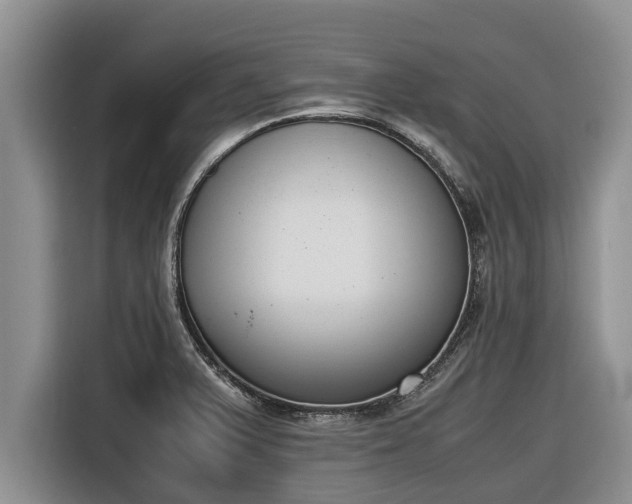 X0000116821375200912241232