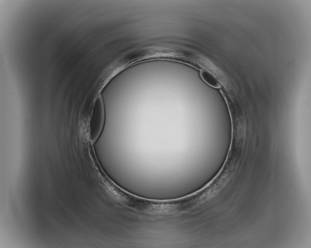 X0000116821377200912241232