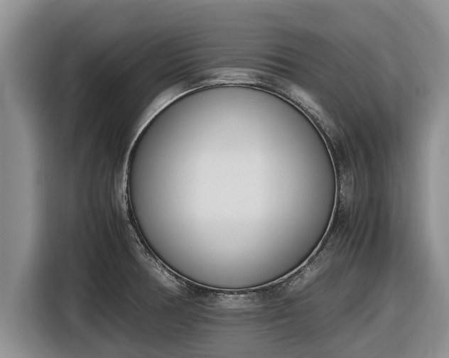 X0000116821378200912241232