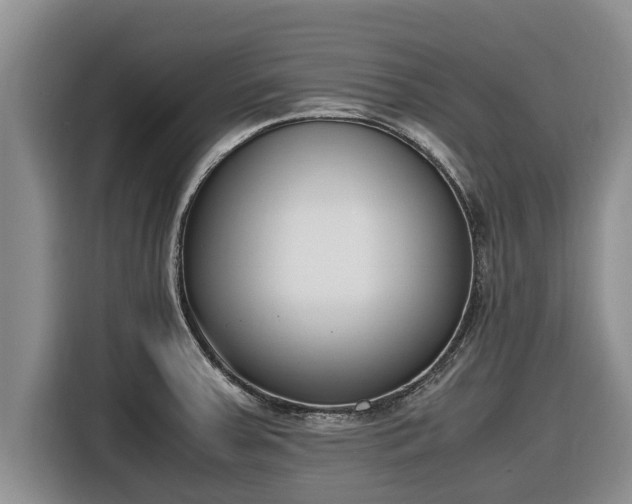 X0000116821379200912241232