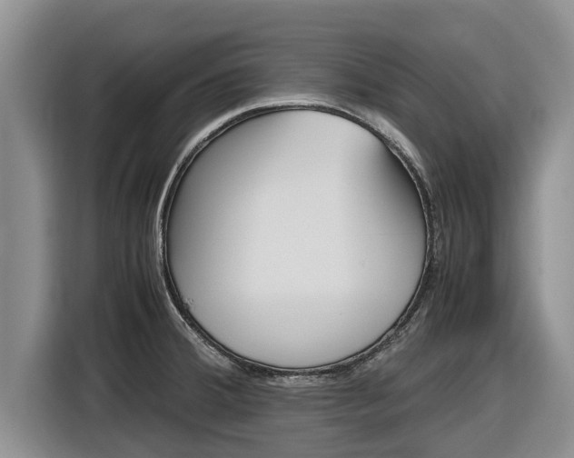 X0000116821380200912241232