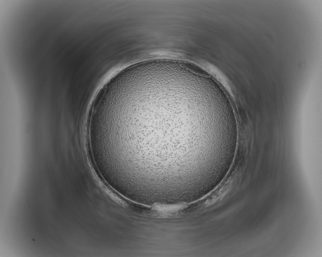 X0000116821381200912241232